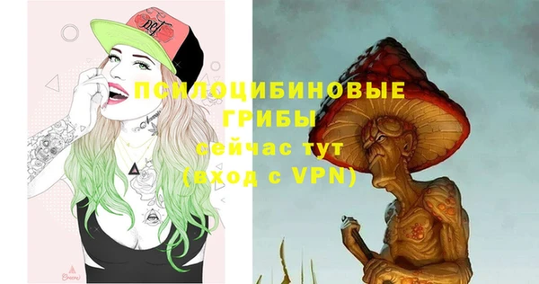 дживик Михайловка