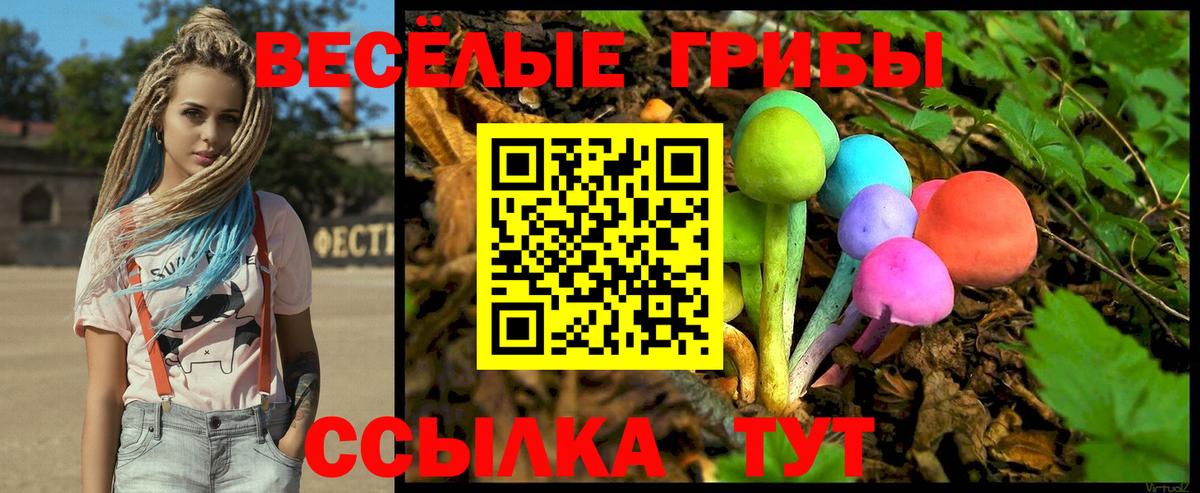 Галлюциногенные грибы ЛСД  Псилоцибиновые грибы Cubensis  Кубинка 